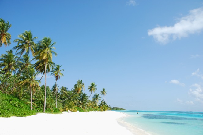 beautiful scene beach in a Maldivian Island