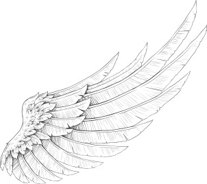 wings-vector-element_G11agnL__L